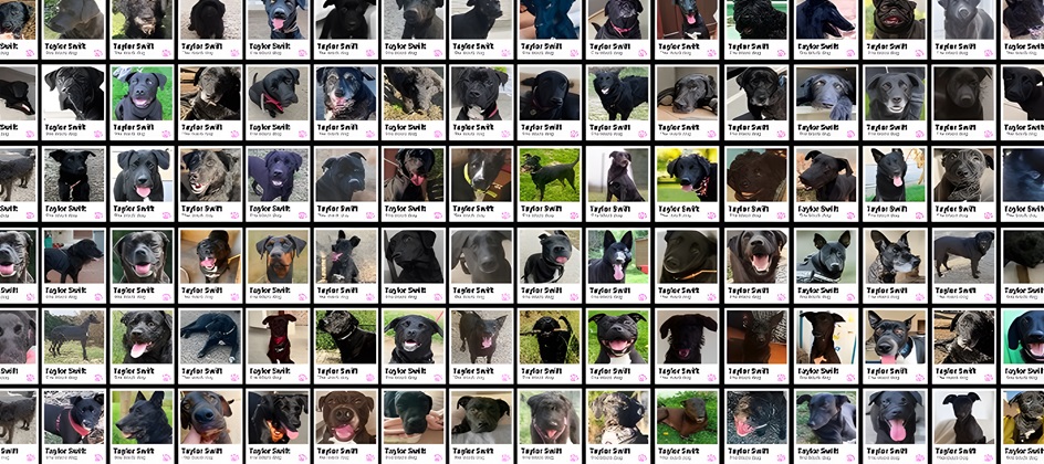SecondeChance.org’s ‘Black dog’ operation tackles adoption crisis with Taylor Swift-inspired campaign